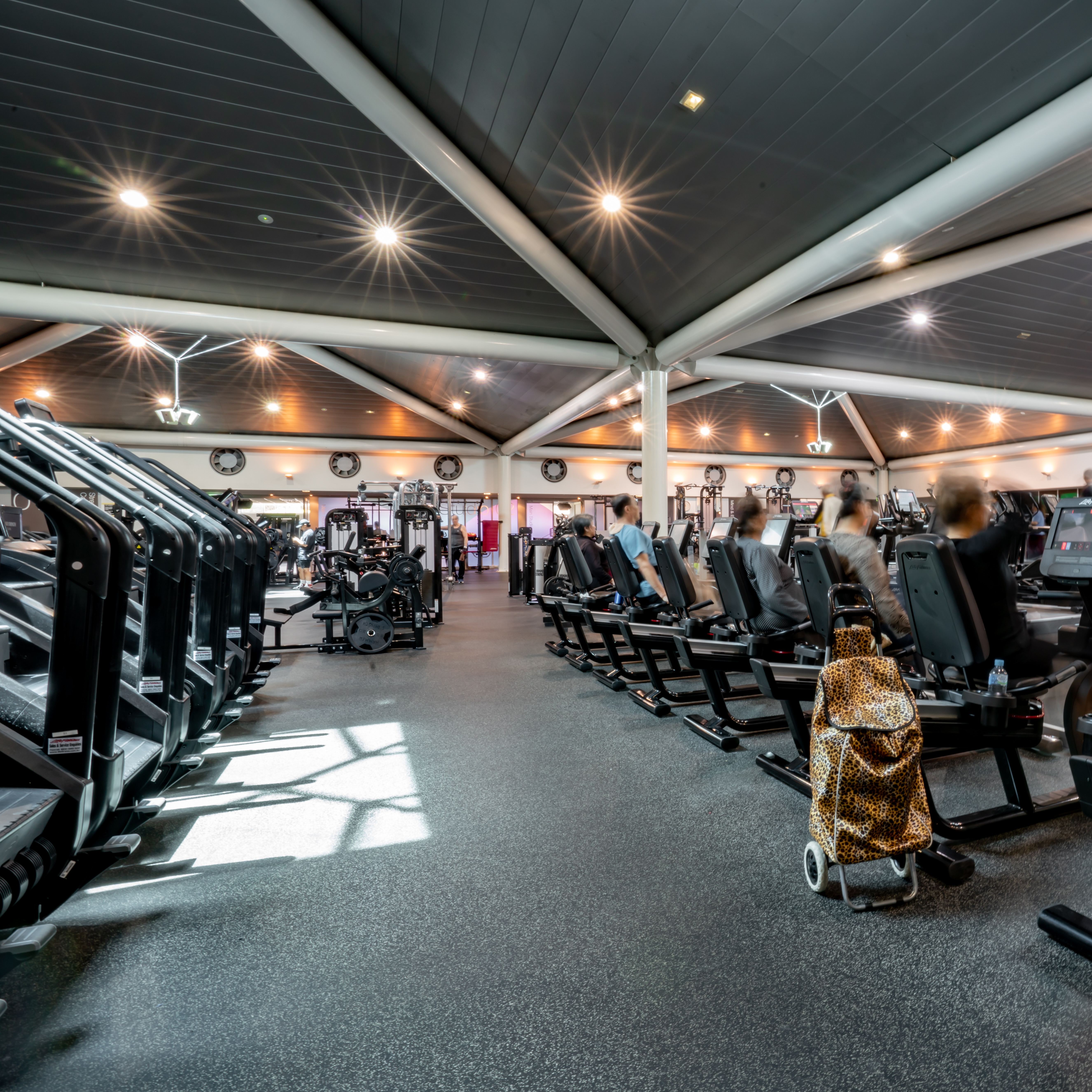 Mounties Care - Home Page - illustration 84671a48-bd87-4452-a029-3a759a530ae1