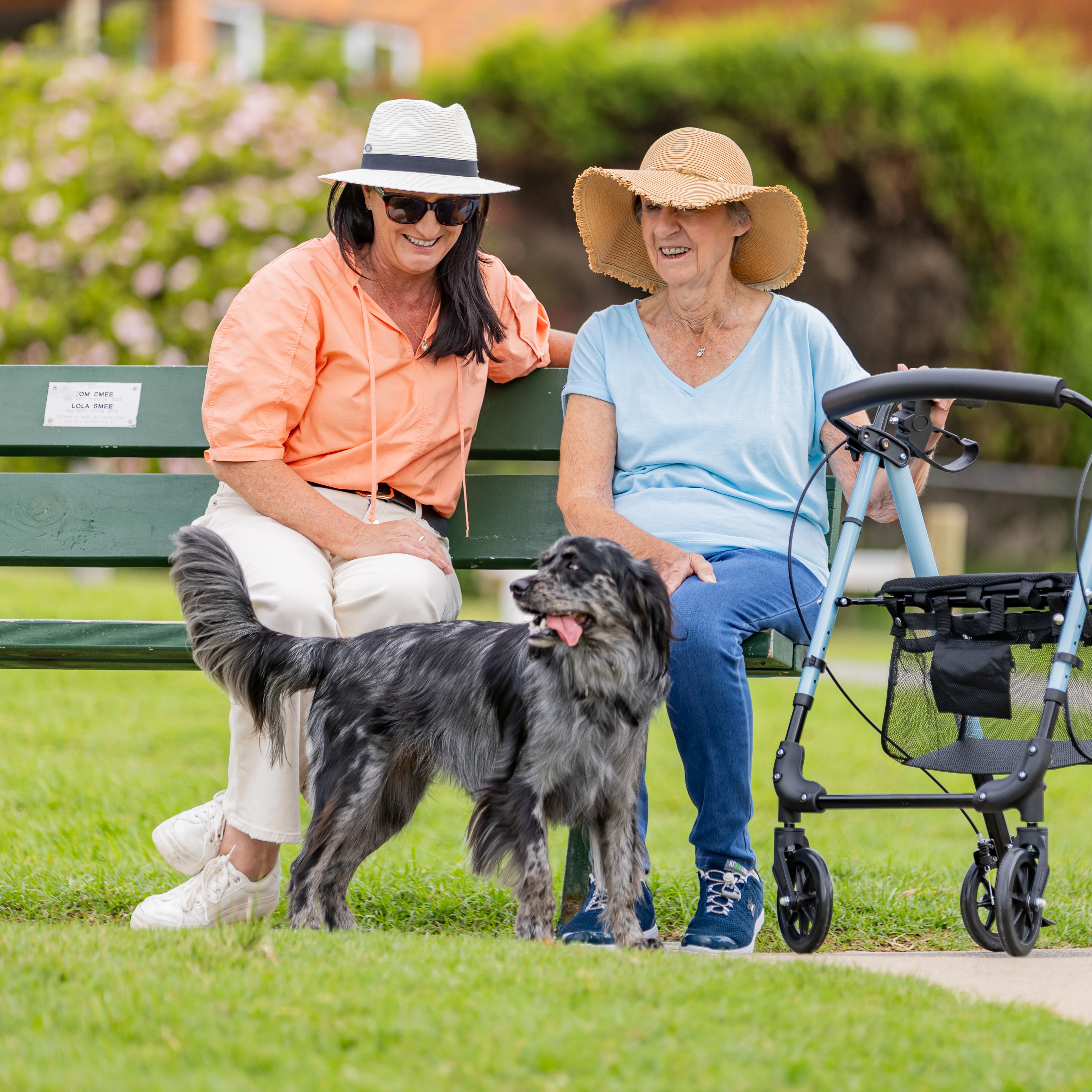 Mounties Care - Home Page - illustration c08ec016-61ce-4f5d-a9a2-0cc4f28d97f3